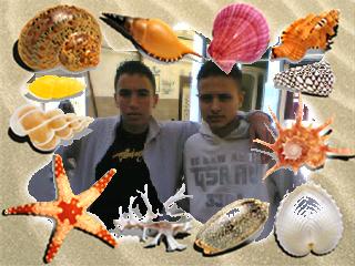hakim et mohemad
