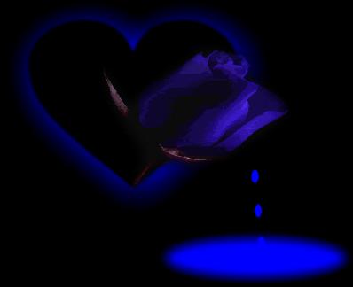 mon coeur