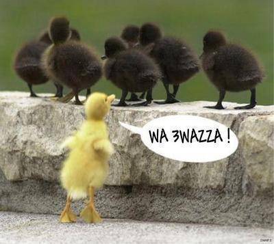3wazza
