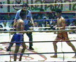 kik boxing
