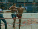 vive kik boxing