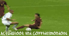 ZiDaNe (S.P)