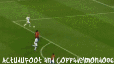 ZiDaNe
